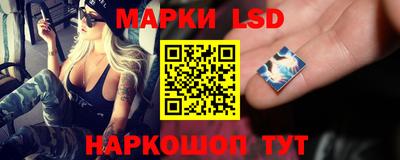 a pvp Обнинск
