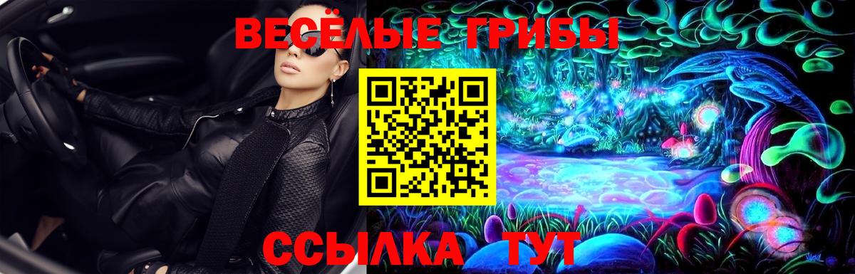 Галлюциногенные грибы GOLDEN TEACHER  Вход с VPN  Реж  Псилоцибиновые грибы Cubensis 