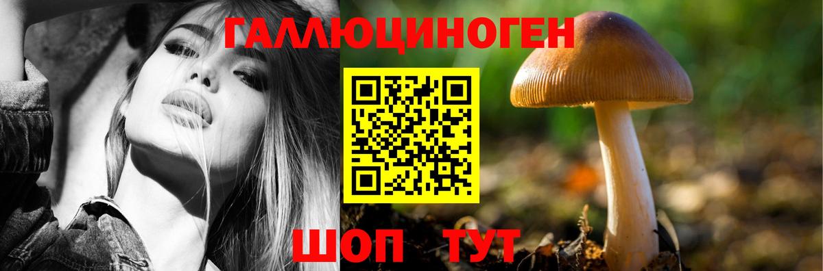Галлюциногенные грибы мицелий Реж